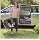 Graco SnugRide Click Connect 30 infant Car Seat, Zuba