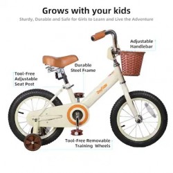 Joystar Vintage 14inch Bike