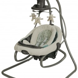 Graco DuetConnect LX Swing  plus Bouncer in Winslet