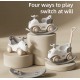 Suplay 4 in 1 Rocking Camel with Push Handle