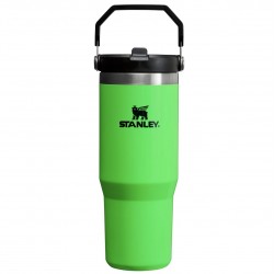Stanley IceFlow Flip Straw Tumbler, Neon Green