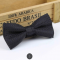 Fashion Bow Tie