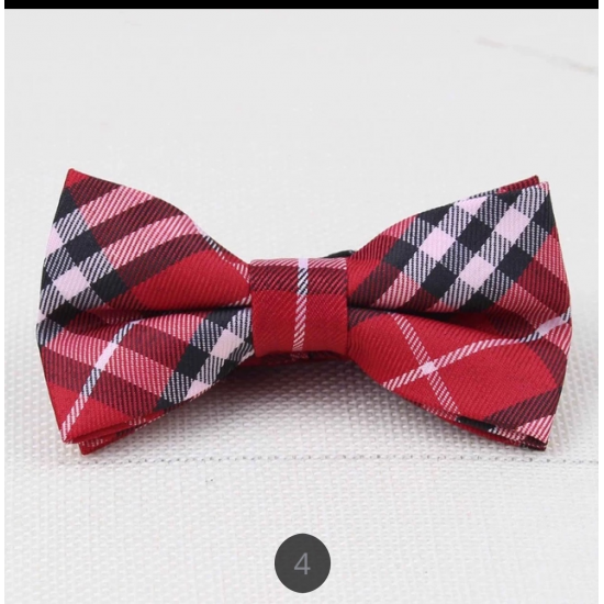 Fashion Bow Tie