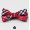 Fashion Bow Tie