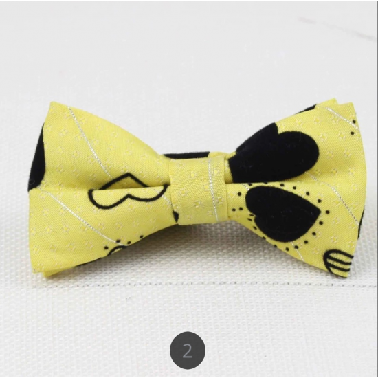 Fashion Bow Tie