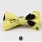 Fashion Bow Tie