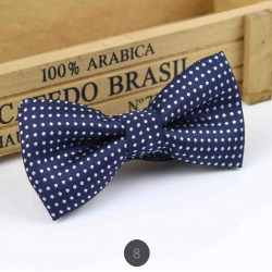 Fashion Bow Tie