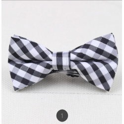 Fashion Bow Tie