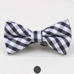 Fashion Bow Tie