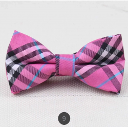 Fashion Bow Tie 