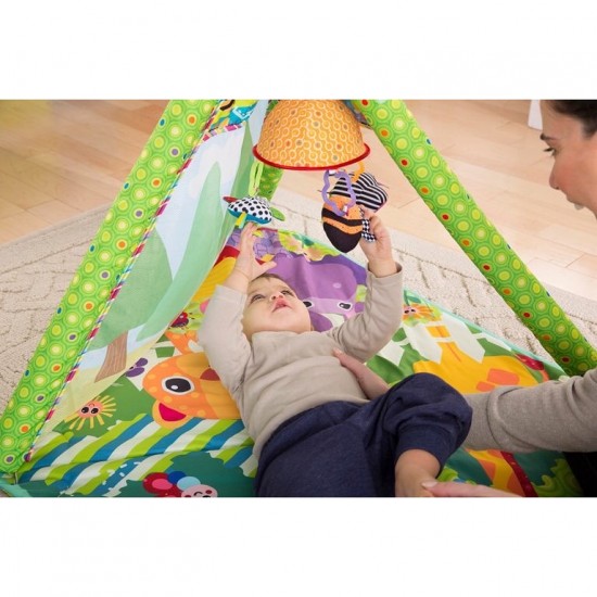 Lamaze 4-In-1 Play Gym