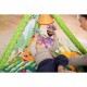 Lamaze 4-In-1 Play Gym