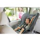 Graco My Ride 65 Convertible Car Seat, Sully