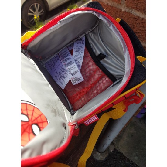 Disney Spiderman Lunch Tote