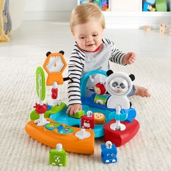 Fisher Price Spin And Sort Activity Center