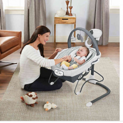 Graco Duet Sway™ LX Swing and Bouncer in Holt™