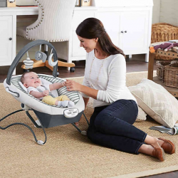 Graco Duet Sway™ LX Swing and Bouncer in Holt™