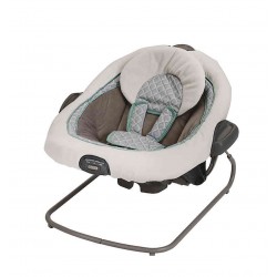Graco DuetConnect LX Swing  plus Bouncer in Winslet