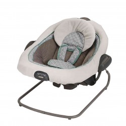 Graco DuetConnect LX Swing  plus Bouncer in Winslet