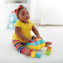 Fisher price Butterfly Shape Sorter Fisher price Butterfly Shape Sorter