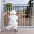 Safety Gate, not Burglary Bars! Safety Gate, not Burglary Bars!