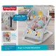 Fisher Price Fun & Fold Bouncer