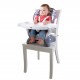 Fisher Price Space Saver Booster Chair