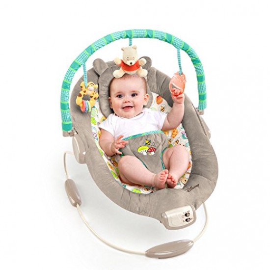 Disney Winnie The Pooh Bouncer- Dots and Hunny Pots Disney Winnie The Pooh Bouncer- Dots and Hunny Pots