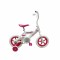 Upland Dragonfly 12inch Bike