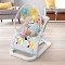 Fisher Price Fun & Fold Bouncer