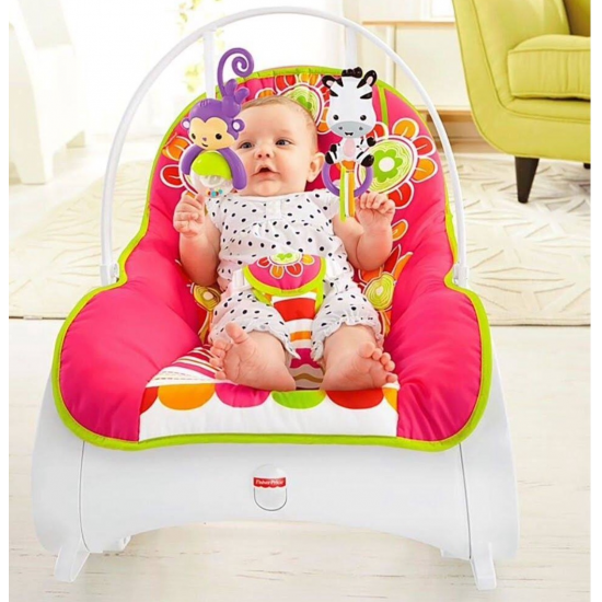 Fisher Price Infant To Toddler Rocker, Floral Confetti