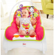 Fisher Price Infant To Toddler Rocker, Floral Confetti