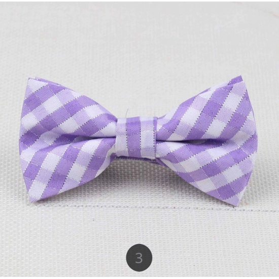 Fashion Bow Tie