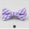 Fashion Bow Tie