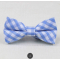 Fashion Bow Tie
