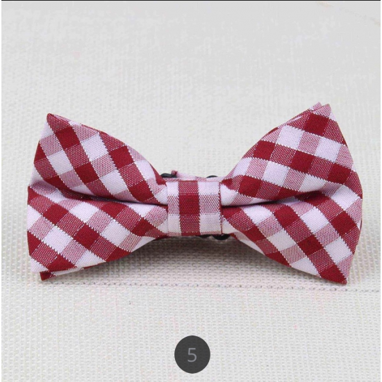Fashion Bow Tie