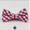 Fashion Bow Tie