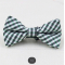 Fashion Bow Tie