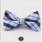 Fashion Bow Tie