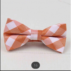 Fashion Bow Tie