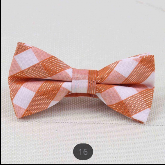 Fashion Bow Tie