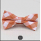 Fashion Bow Tie