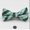 Fashion Bow Tie