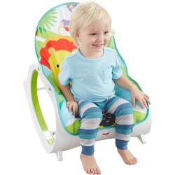 Fisher Price Infant To Toddler Rocker Fisher Price Infant To Toddler Rocker