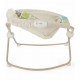 Fisher-Price Newborn Rock n Play Sleeper - Rainforest Friends